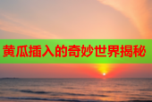 黄瓜插入的奇妙世界揭秘