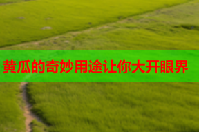 黄瓜的奇妙用途让你大开眼界