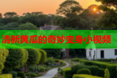 清新黄瓜的奇妙变身小视频