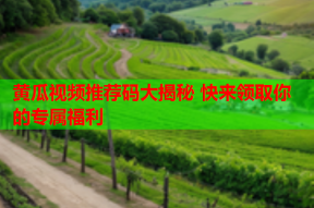 黄瓜视频推荐码大揭秘 快来领取你的专属福利