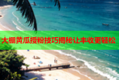 大棚黄瓜授粉技巧揭秘让丰收更轻松