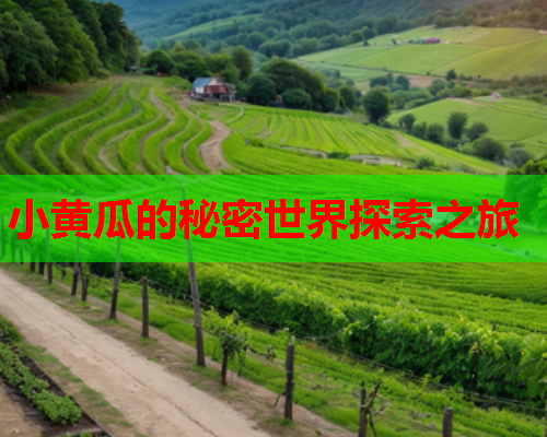 小黄瓜的秘密世界探索之旅  第1张