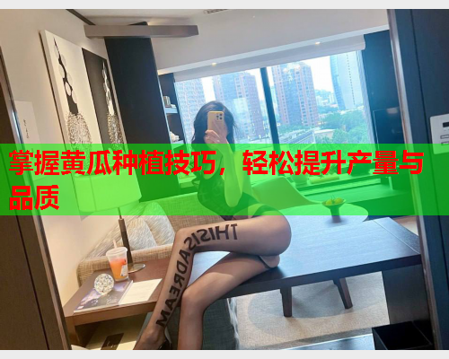 掌握黄瓜种植技巧，轻松提升产量与品质  第1张